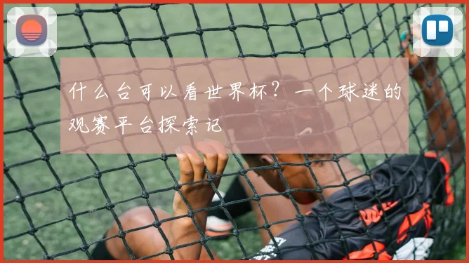 什么台可以看世界杯？一个球迷的观赛平台探索记