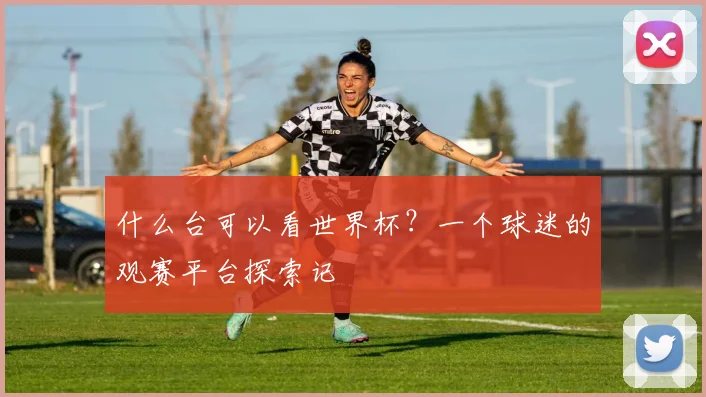 什么台可以看世界杯？一个球迷的观赛平台探索记