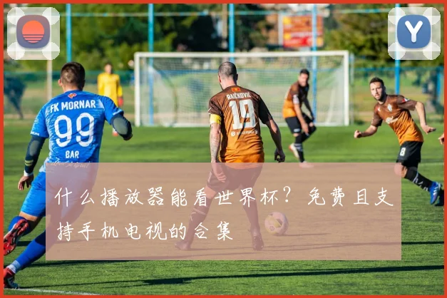 什么播放器能看世界杯？免费且支持手机电视的合集