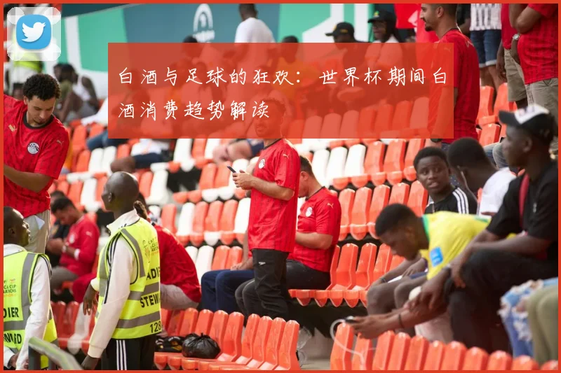 白酒与足球的狂欢：世界杯期间白酒消费趋势解读